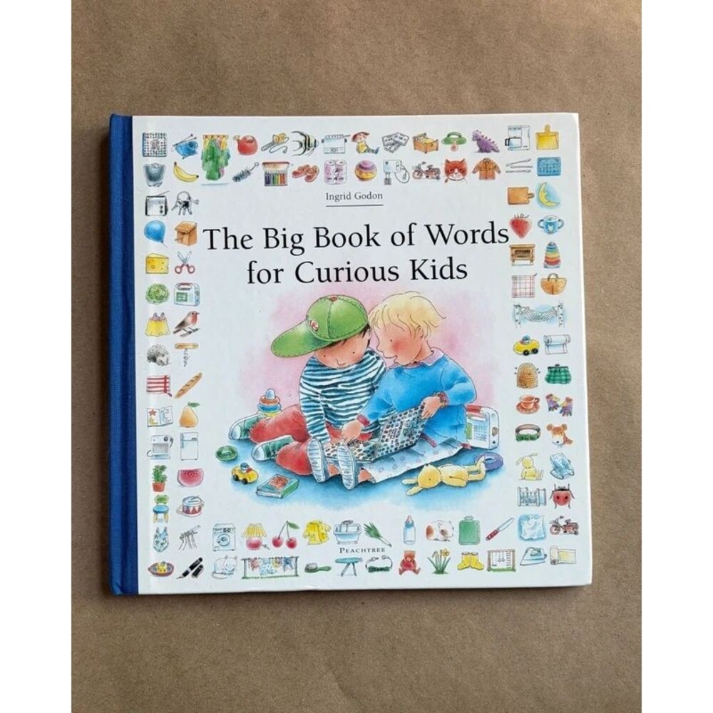 The Big Book of Words for Curious Kids Ingrid Godon Illustrated Childrens HC